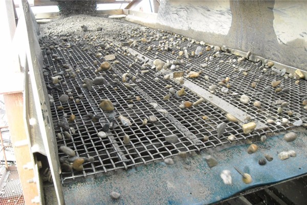 反腐食316lロックのひだの300頑丈なミクロン12.8mmの穴を金網 9